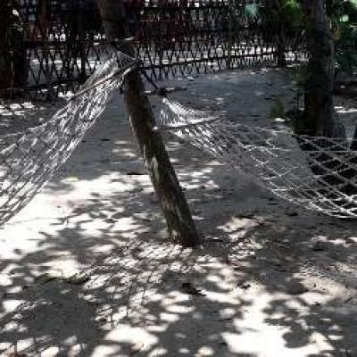 Relax Under Tree