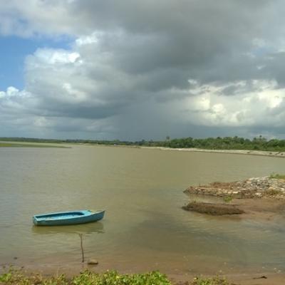 River View In The Afternoon